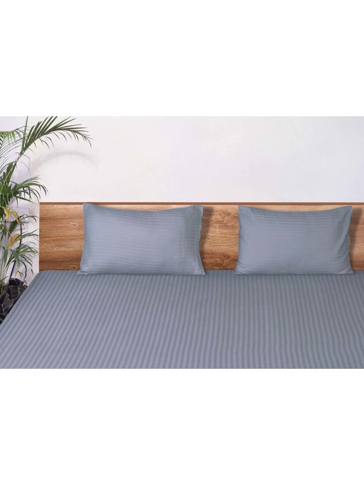 Mark Home Classic Grey Cotton 210 TC King Bedsheet with 2 Pillow Covers