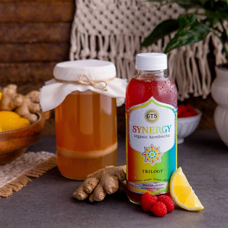 G.T.'s Synergy Trilogy Organic Vegan Raw Kombucha - 16 fl oz Bottle