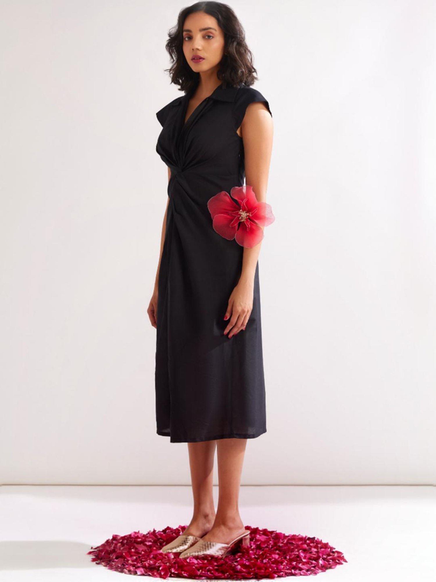 Abhishti Black A-Line Dress