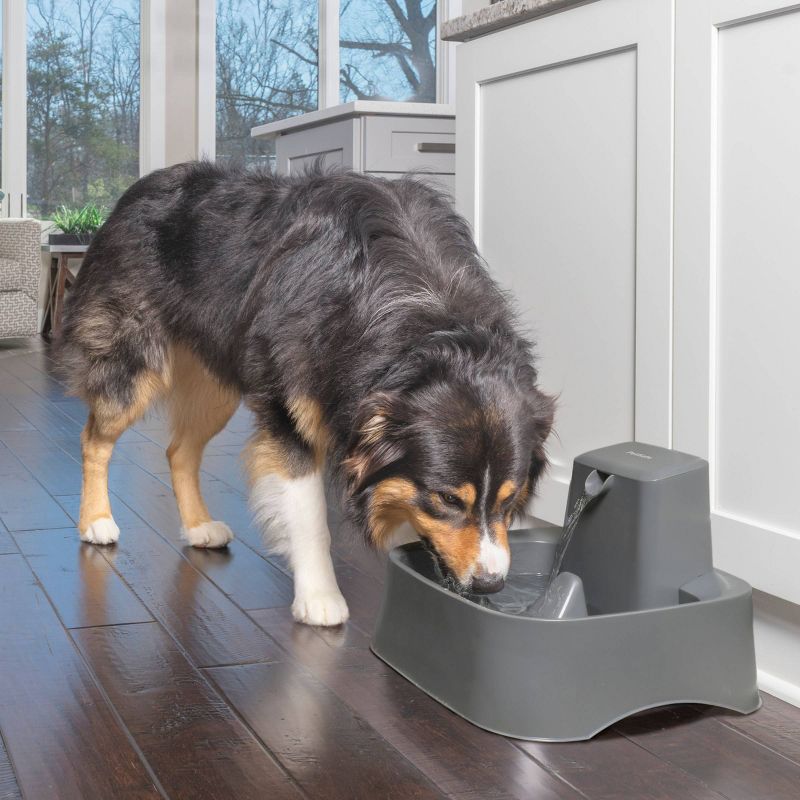 PetSafe Drinkwell Pet Fountain - Gray