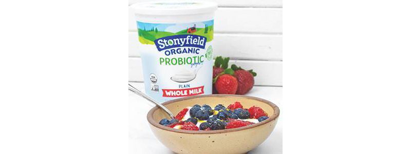 Stonyfield Organic Smooth & Creamy Whole Milk French Vanilla Greek Yogurt - 32oz