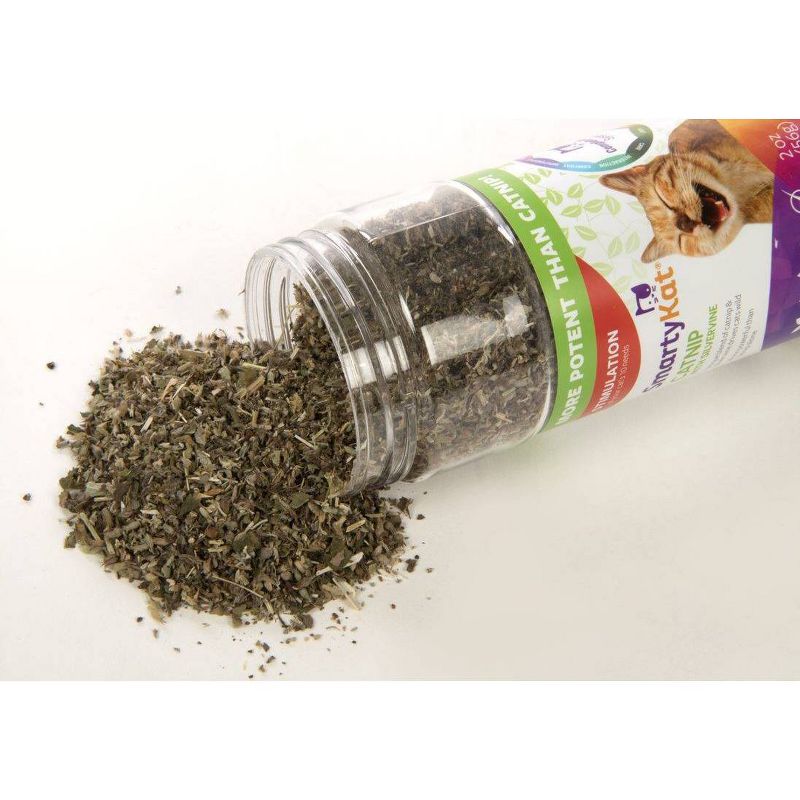 SmartyKat Silvervine & Catnip Blend Shaker Canister Cat Treats - 2oz