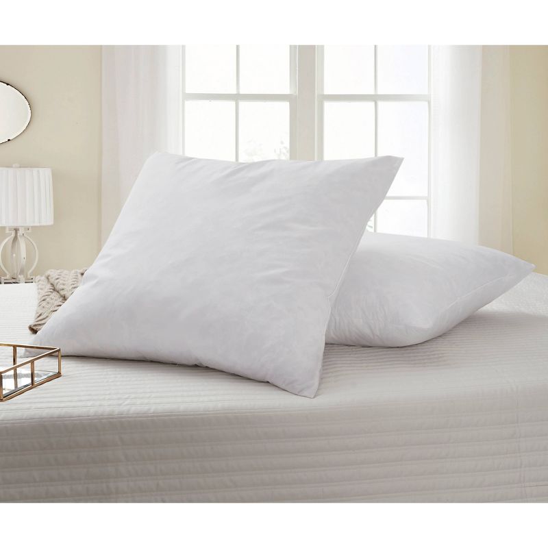 Feather Filled Euro Square Pillow White 2pk - Blue Ridge Home Fashions