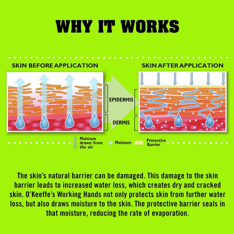 Burt's Bees Honey and Grapeseed Oil Hand Cream - 2.6oz