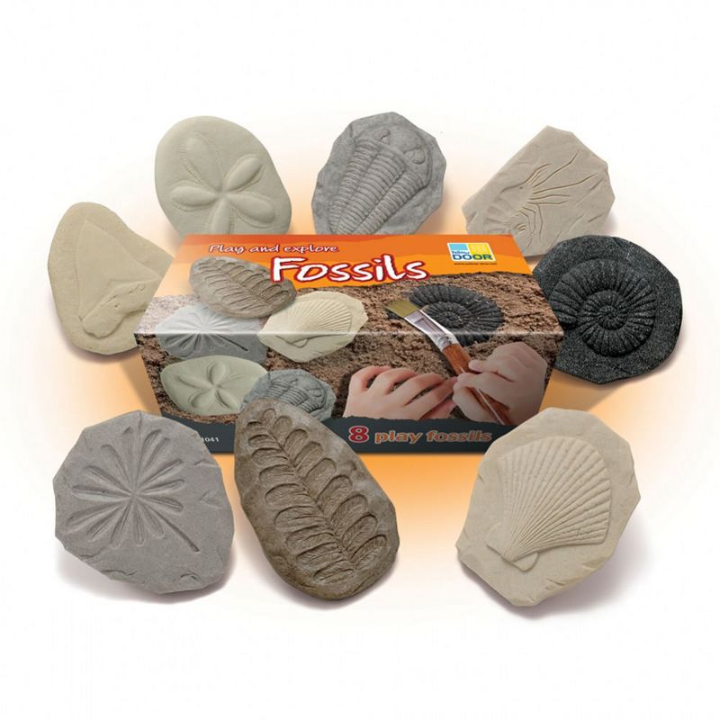 Yellow Door Play and Explore Fossils  - Set of 8