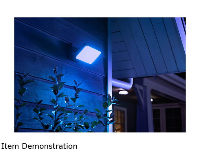 Philips Hue Smart White and Color Ambiance Discover Outdoor Floodlight (Hue Hub Required, Smart Light Works with Alexa, Apple Homekit and Google Assistant)