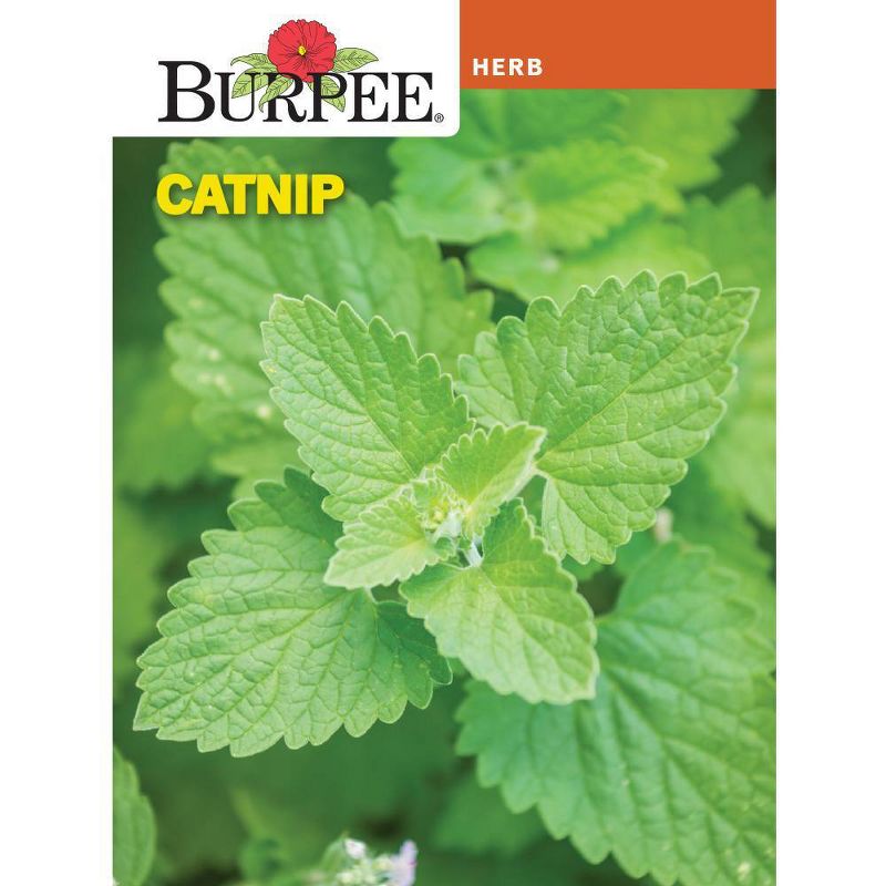 Burpee Ultimate Herb Seed Collection - 12pk