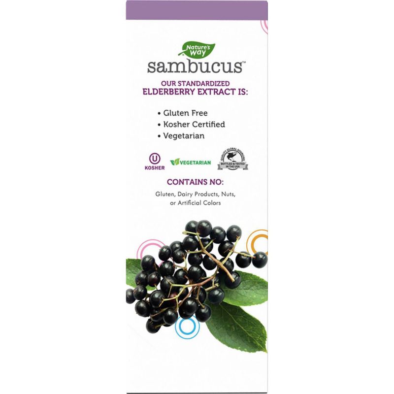 Nature's Way Sambucus Immune Syrup for Kids with Elderberry - 8 fl oz