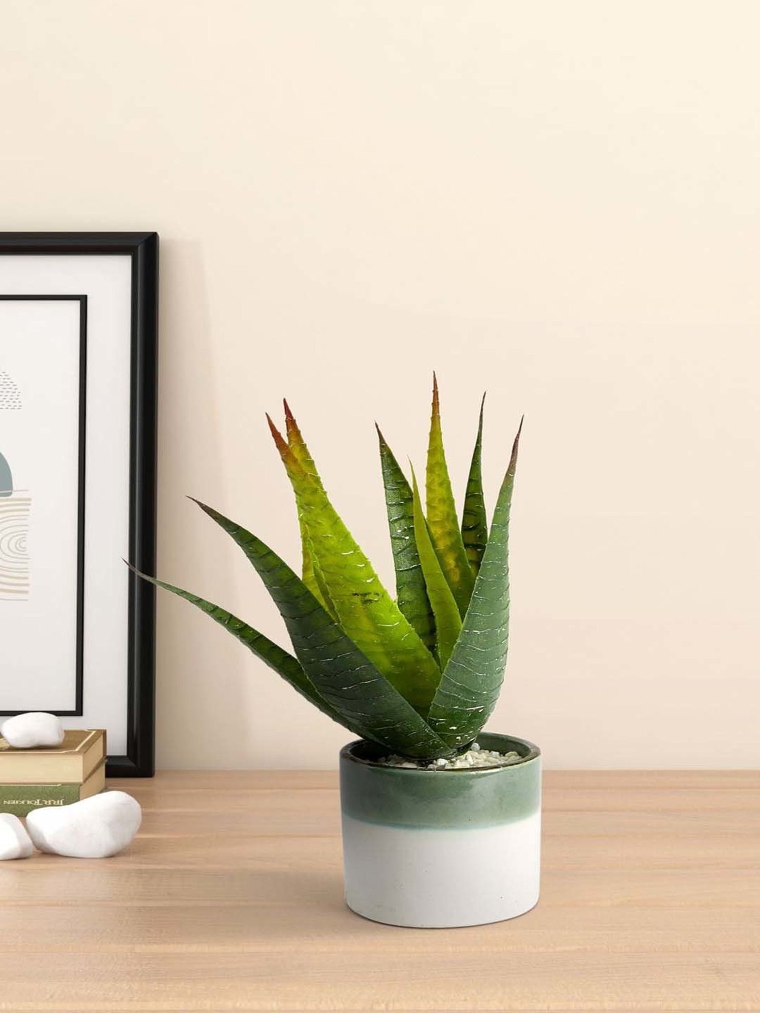 Living Scapes by Pantaloons Green Plastic Artificial Plant Vases