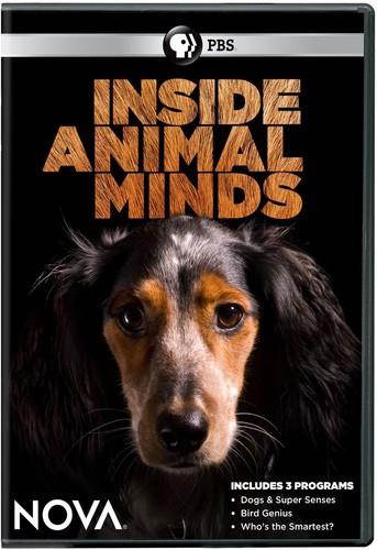 PBS NOVA-INSIDE ANIMAL MINDS (DVD) DNOVA6281D