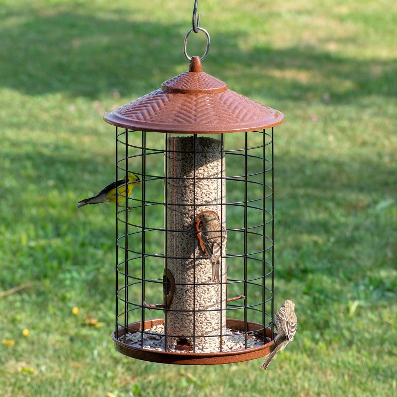 Droll Yankees Grande Squirrel X Proof Feeder - Pecan
