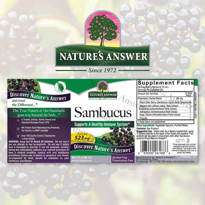 Nature's Answer Sambucus Black Elder Berry Extract Spray 2 oz