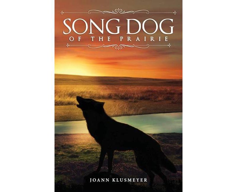 Stepwell - (Seattle Youth Poet Laureate) by  Azura Tyabji (Paperback)