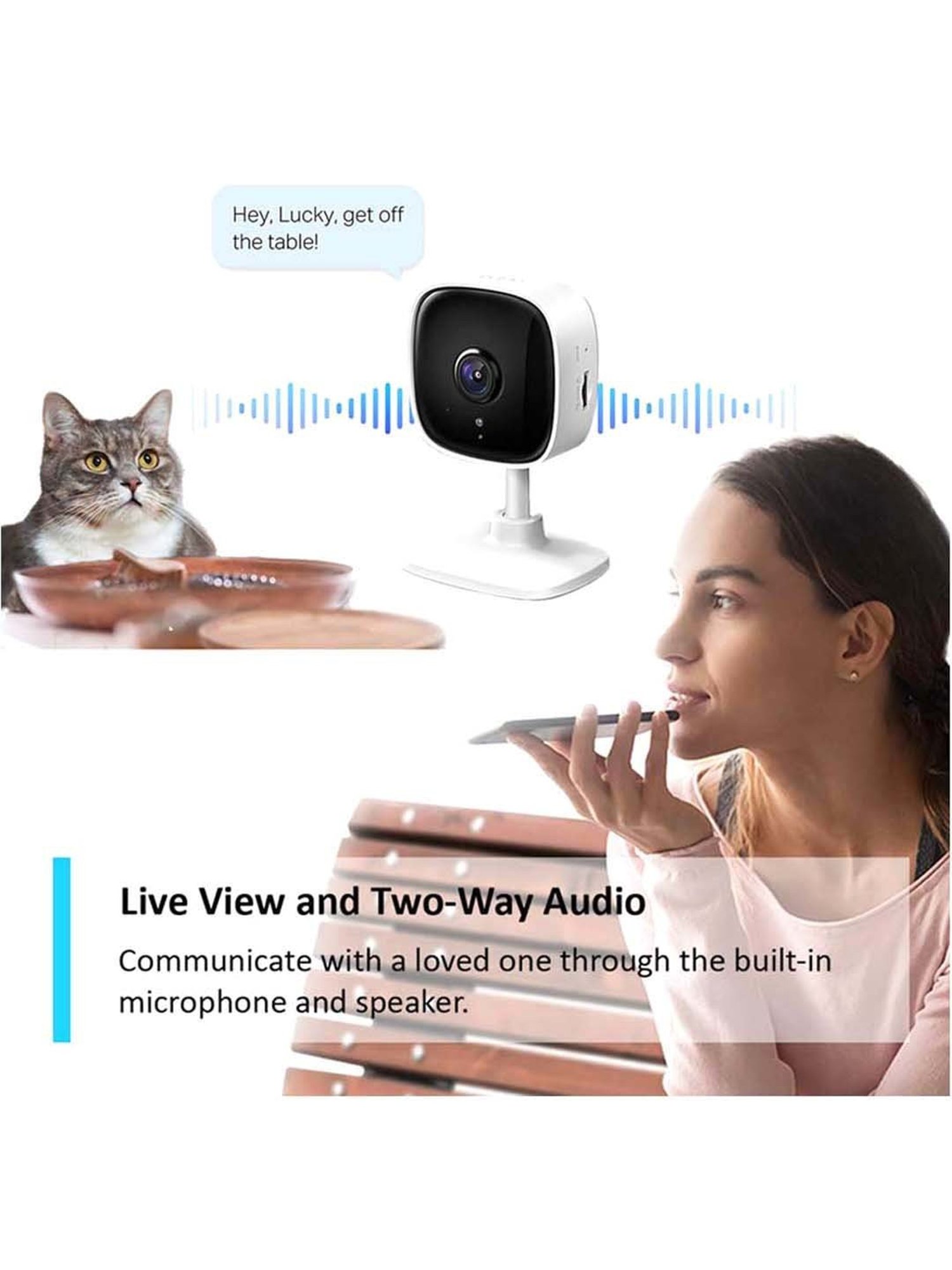 Eveready 0.5 W Standard B22 LED Bulb Pack of 12 (Green)