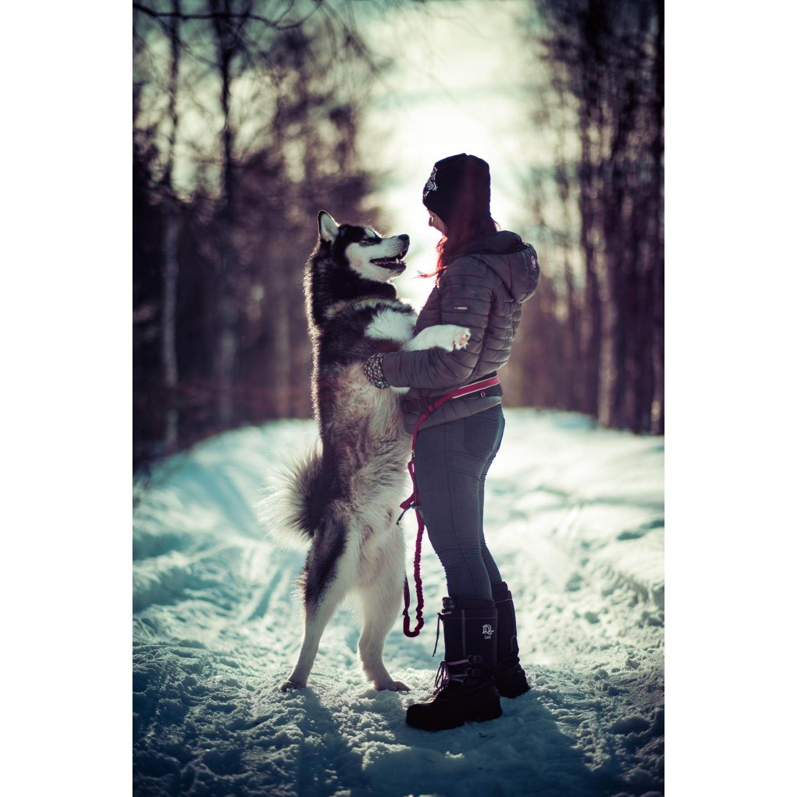 Rokinon 85mm F1.4 Full Frame Telephoto Lens for Sony E