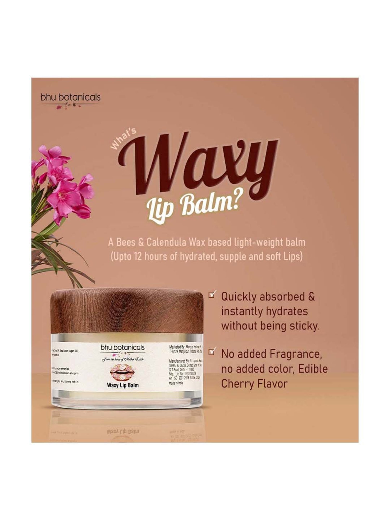 bhu botanicals Waxy Lip Balm - 15 gm