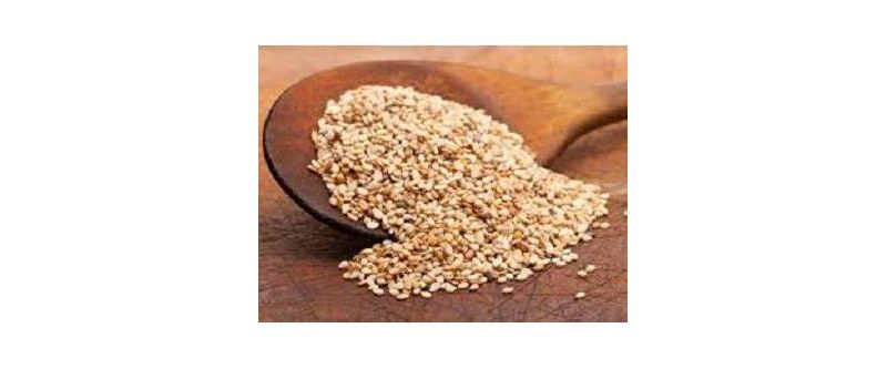 Dynasty Premium Roasted Sesame Seed 8oz