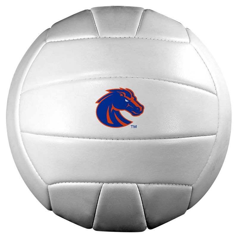 NCAA Miami Hurricanes Big Fly Ball