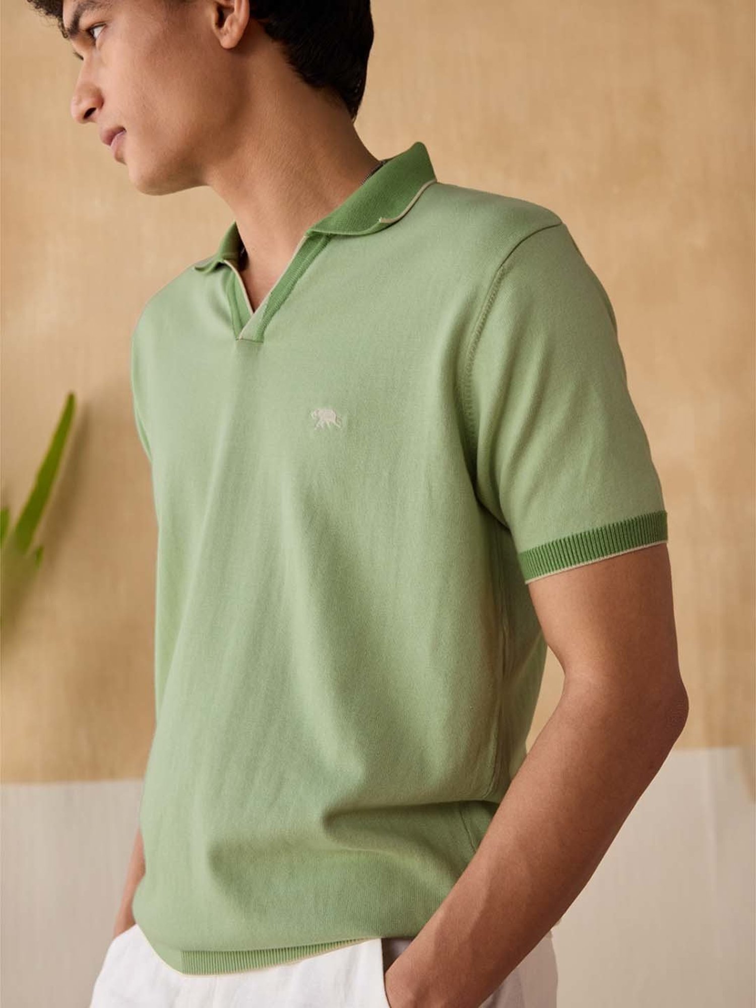 Andamen Green Cotton Regular Fit Polo T-Shirt