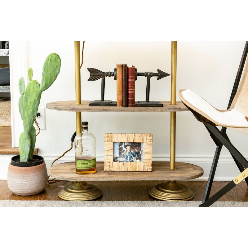 25" x 5.5" Artificial Faux Cactus Plant in Pot - 3R Studios