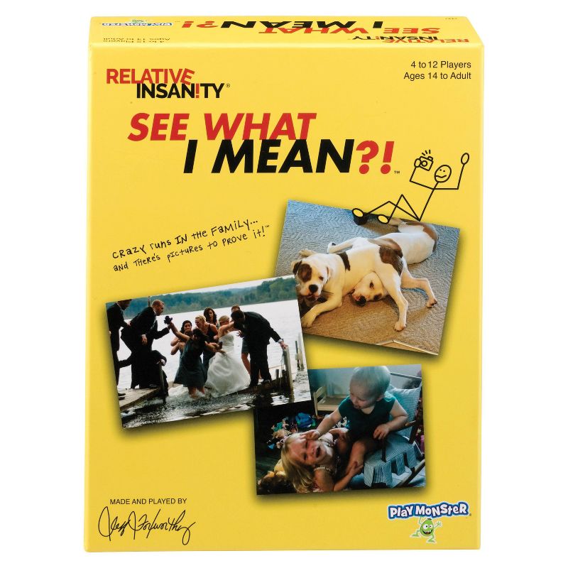 Playmonster Relative Insanity: See What I Mean Game