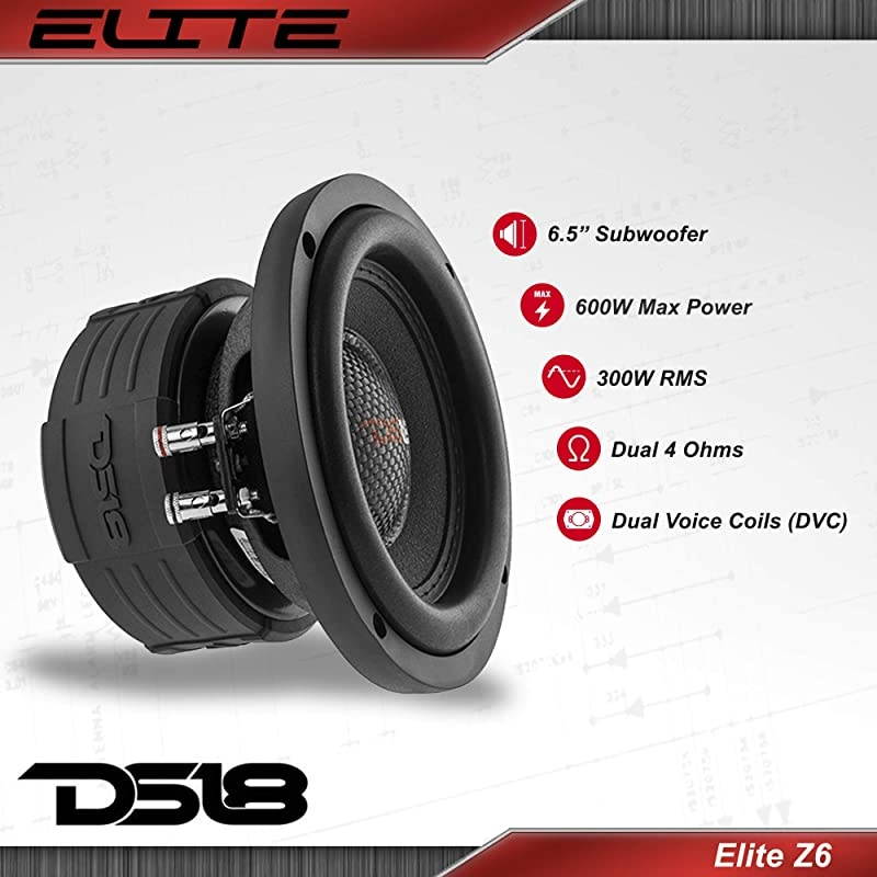 Z-15LE 15&rdquo; Subwoofer, 2,000 Max Power, 1,000 RMS Power, Glass Fiber Dust Cap, Foam Edge, 4 Layer Voice Coil 4+4 Ohm Impedance, Limited Edition(1 Speaker)