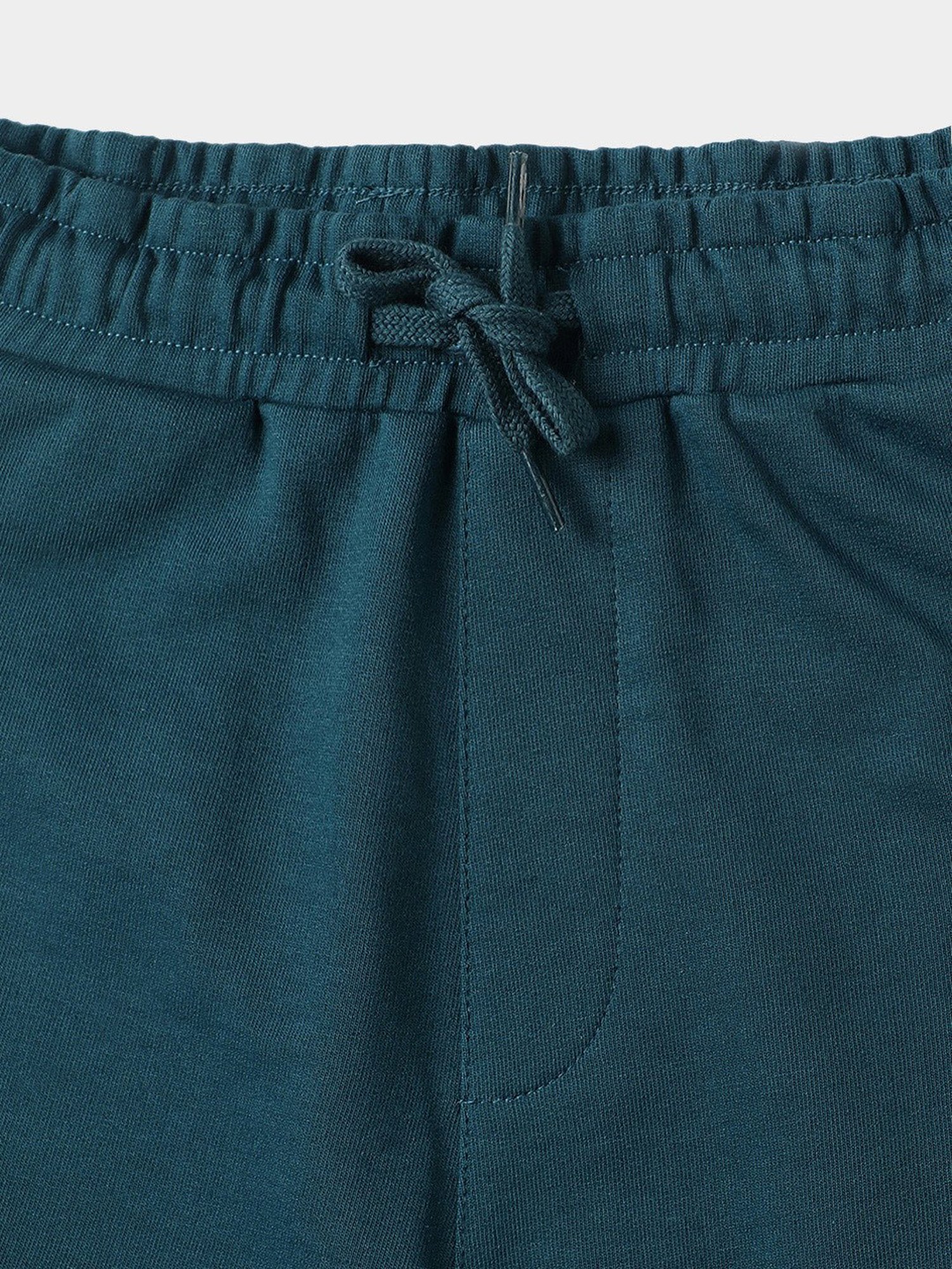 Lil Tomatoes Kids Teal Printed Bermuda