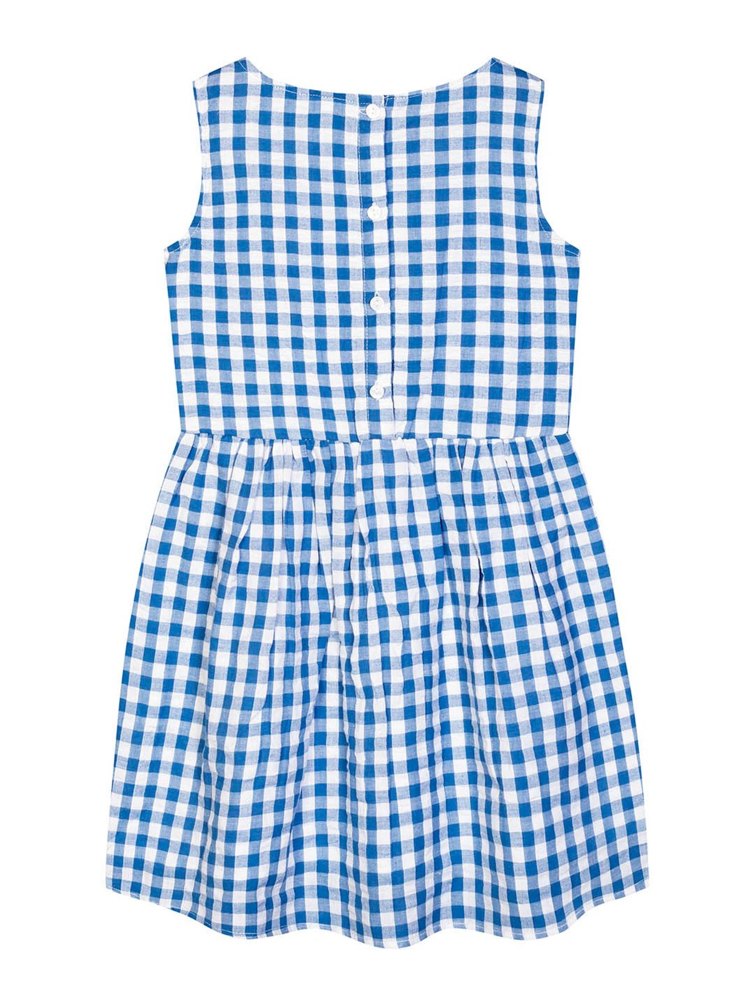Budding Bees Kids Blue & White Checks Dress
