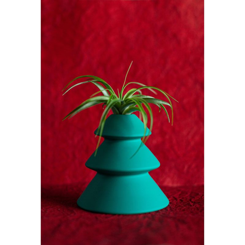 Van Zyverden Roses Mikado Root Stock