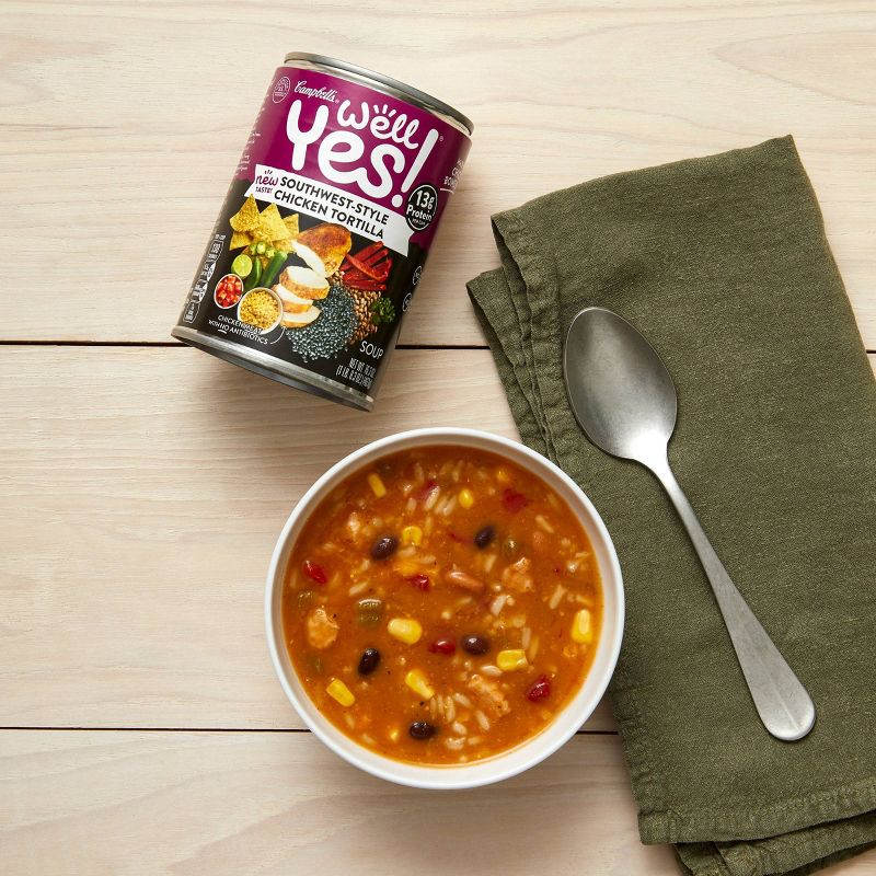Well Yes! Southwest-Style Chicken Tortilla Soup - 16.3oz