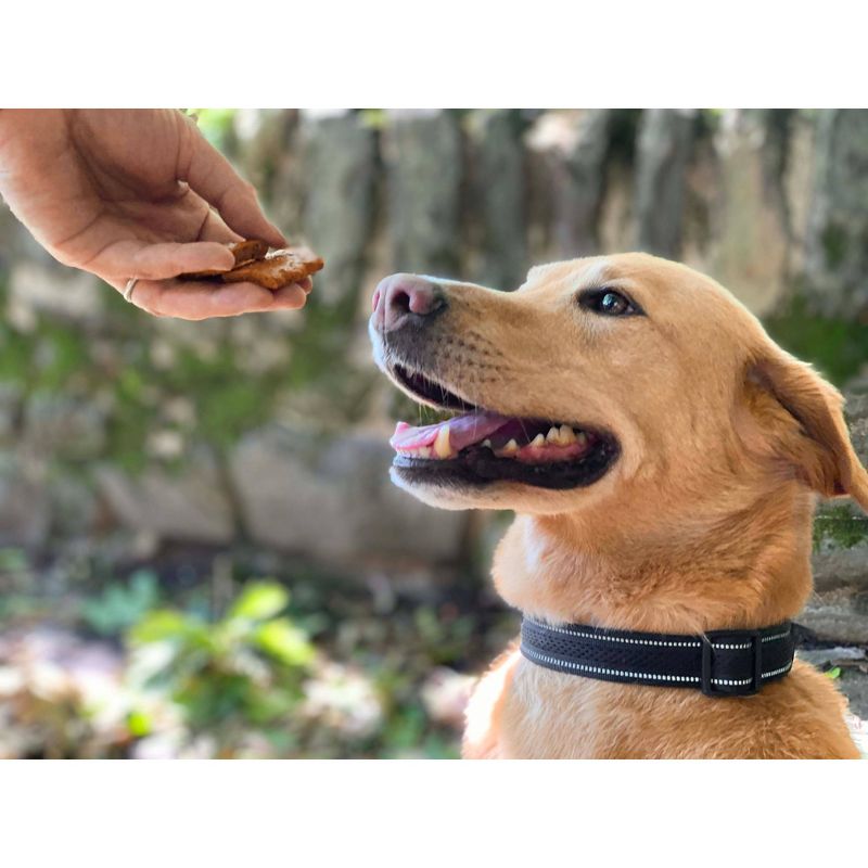 Newman's Own Original Plant Based Jerky Soft Chewy Dog Treats - 5oz