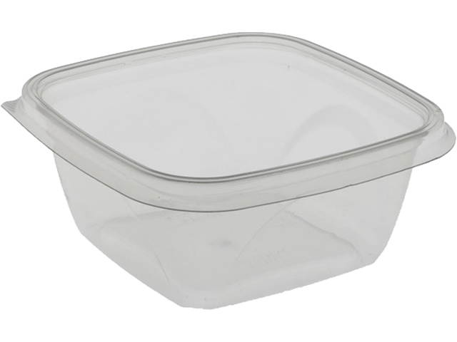 Pactiv Bowl,Salad,Sq,16oz,8,Clr SAC0516