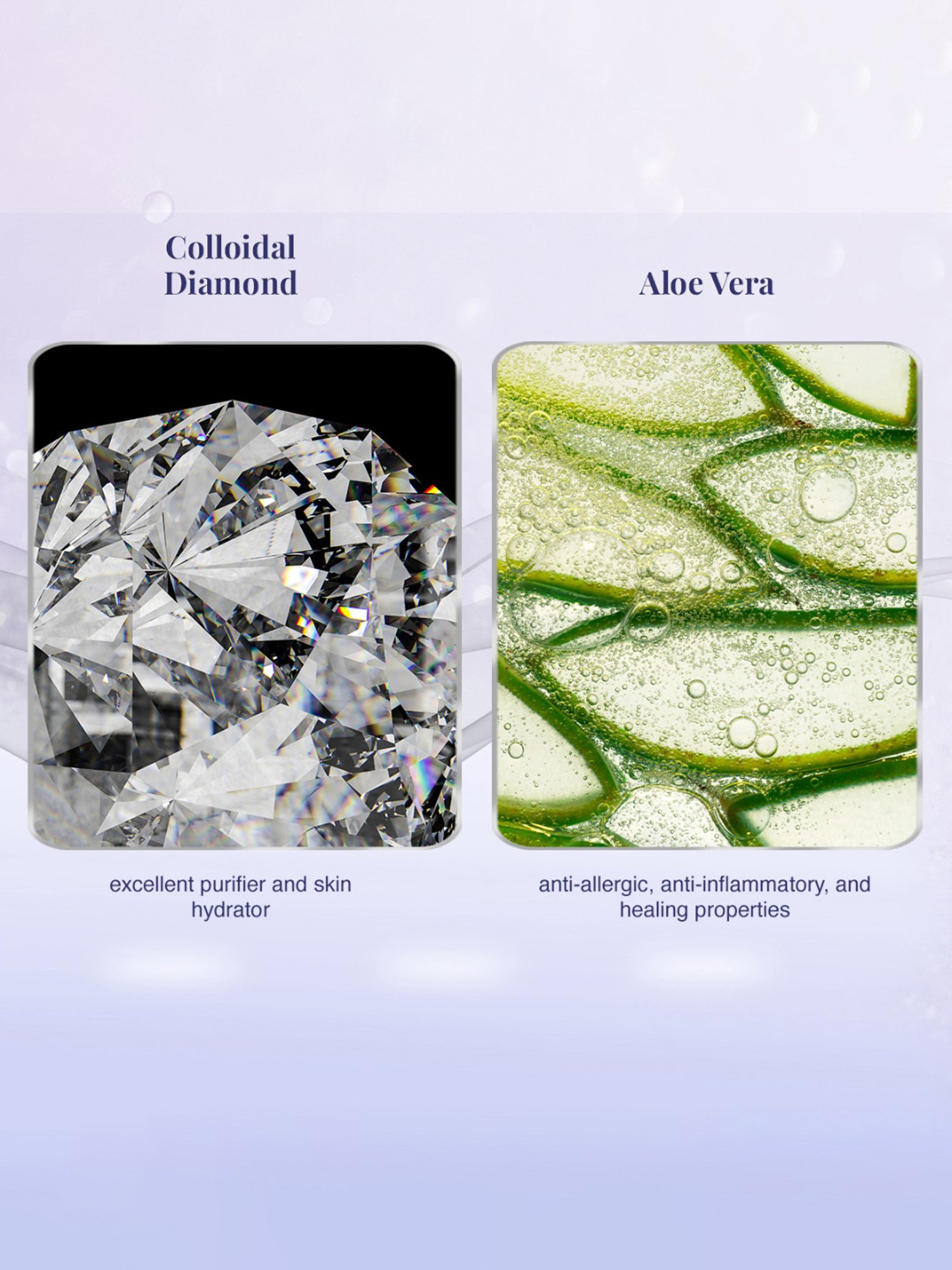 Globus Naturals Papaya Facial Kit