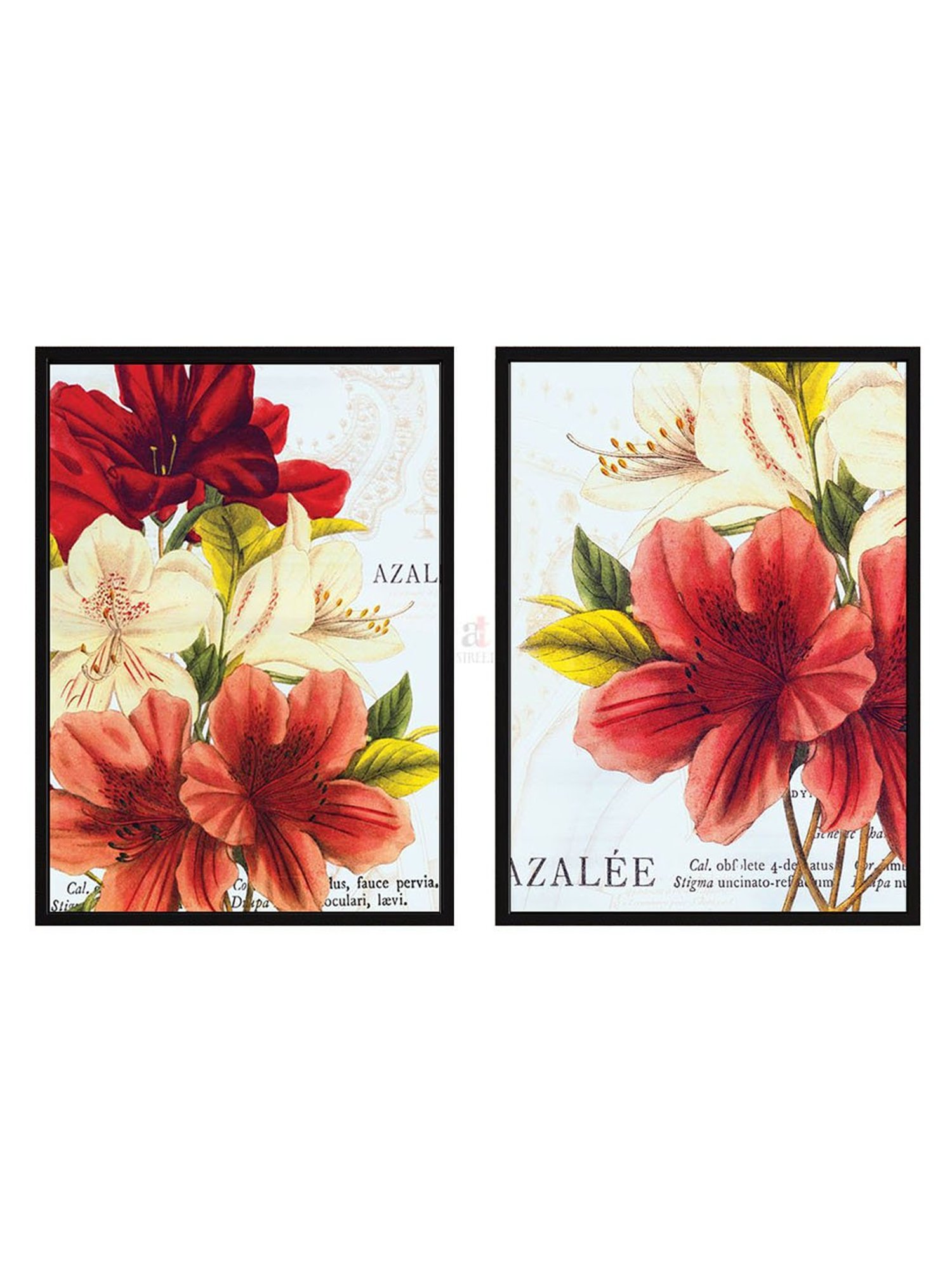 Art Street Azalea Jardin Wild Apple Portfolio Printed Red Engineered Wood Wall Art (Set of 2)