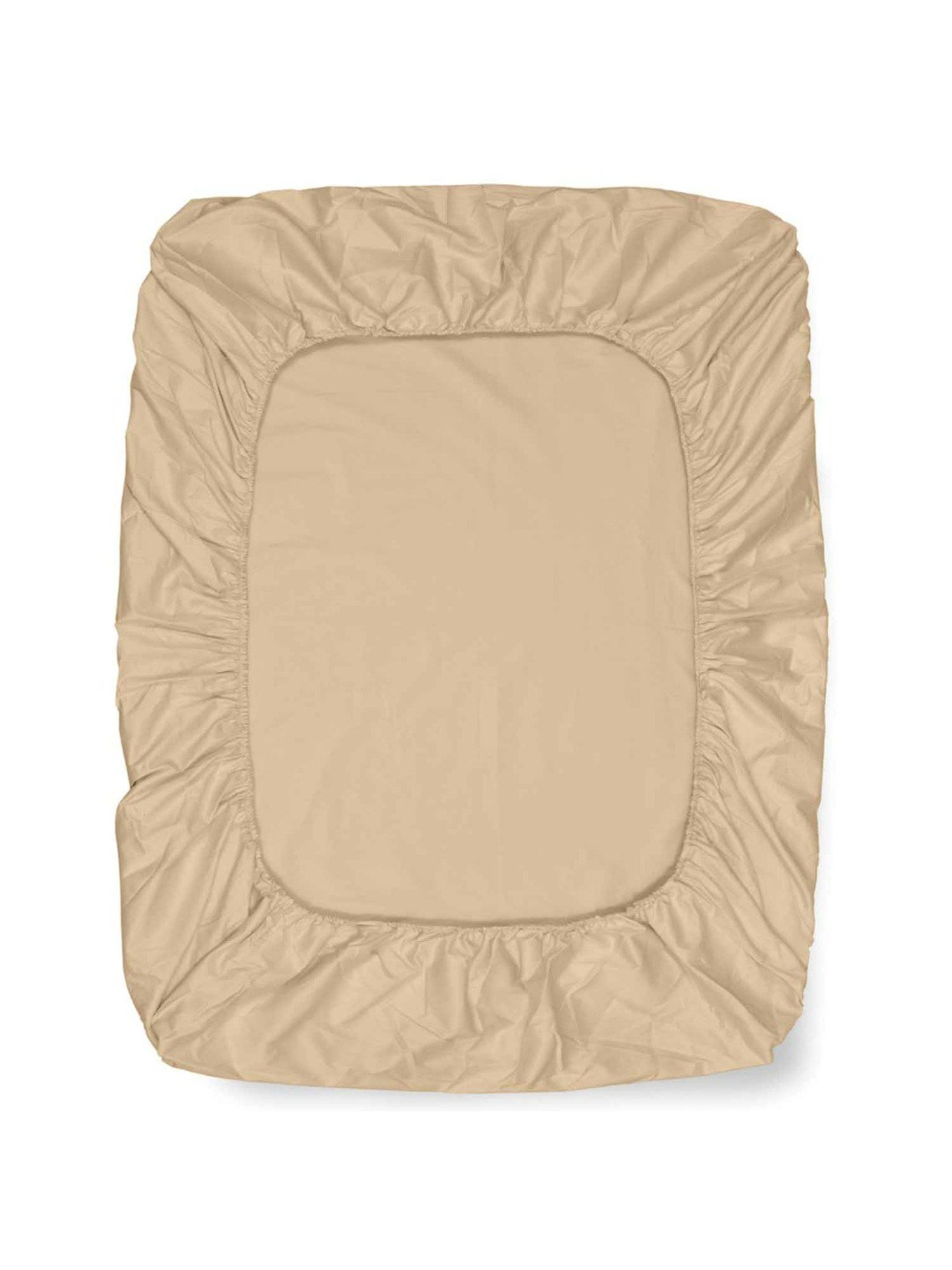 Haus & Kinder Solid Beige 300 TC Cotton Bed Sheet with 1 Pillow Cover