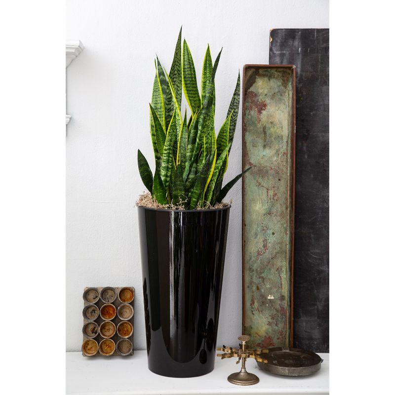 The HC Companies Cascade 13 Inch Square 23 Inch Tall Self Watering Indoor/Outdoor Decorative Flower Planter Pot with Soil Saving Pot Liner, Black Onyx