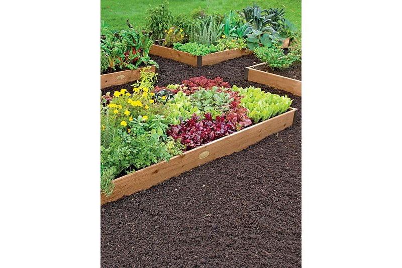 Raised Garden Bed 2' x 4' - Gardener's Supply Company
