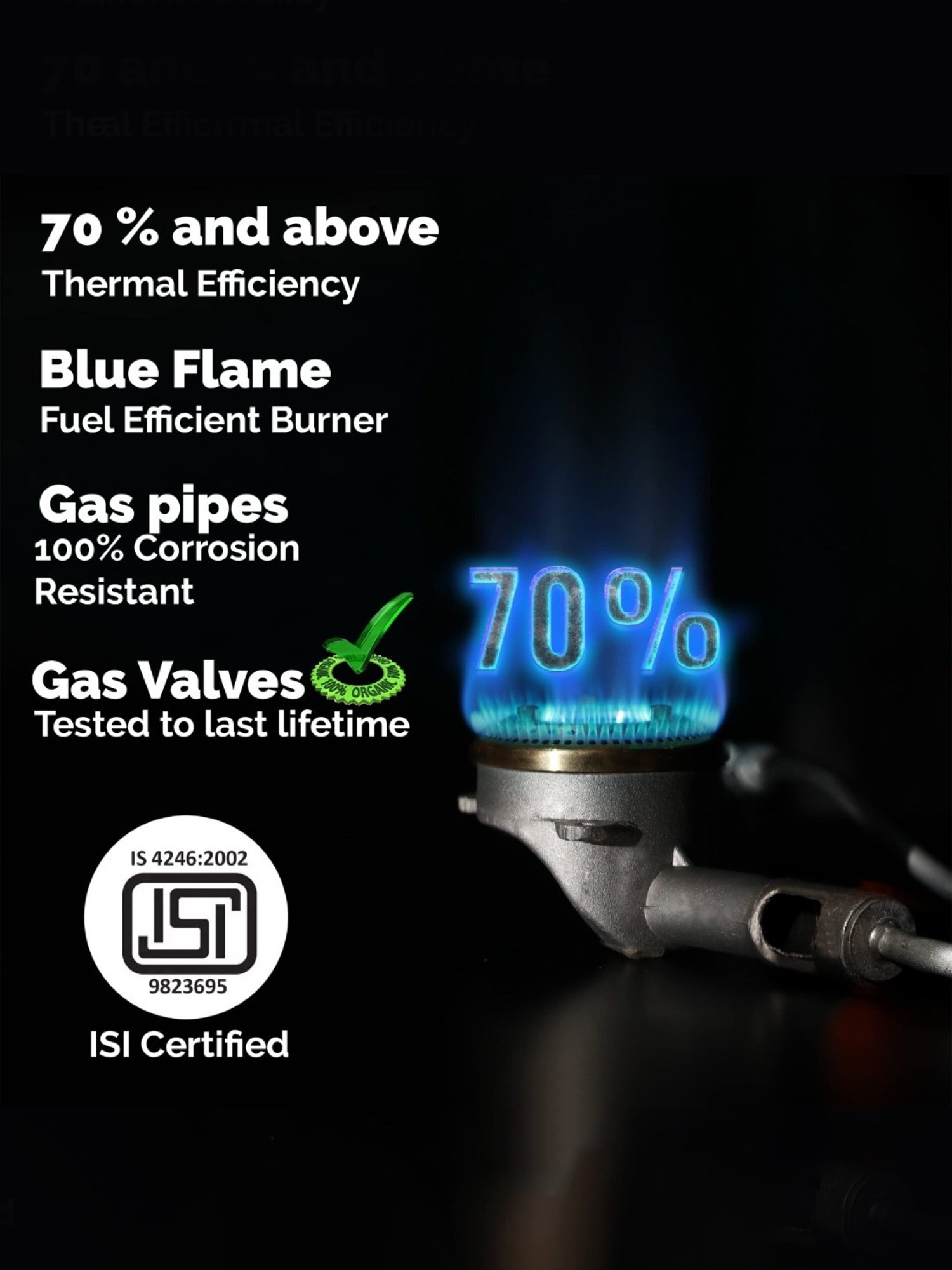 RICHFLAME Gas Stove with Single Burner ( Silver )