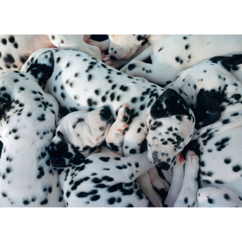 Ravensburger Nap Time Puzzle 1000pc