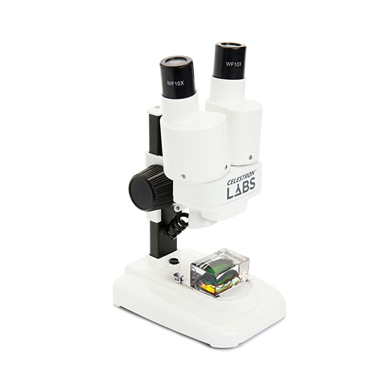 S20 Portable Stereo Microscope w/20x Power, 2 Insect Specimens in Clear Plastic, 2 AA Batteries, Upper Illuminator