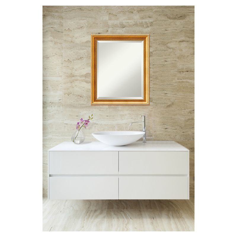 20" x 24" Townhouse Wood Framed Wall Mirror Gold - Amanti Art