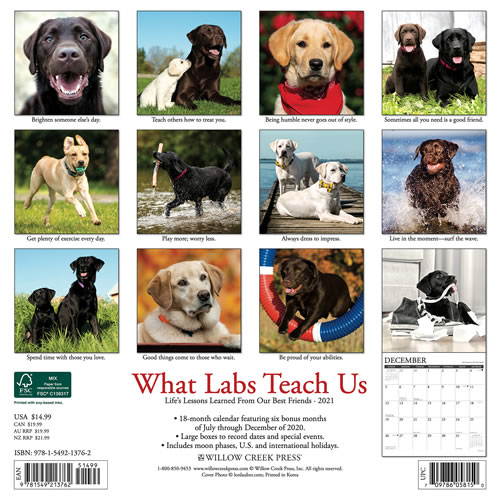 2021 What Labs Teach Us Wall