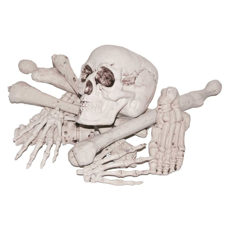 Halloween Bag Of Bones