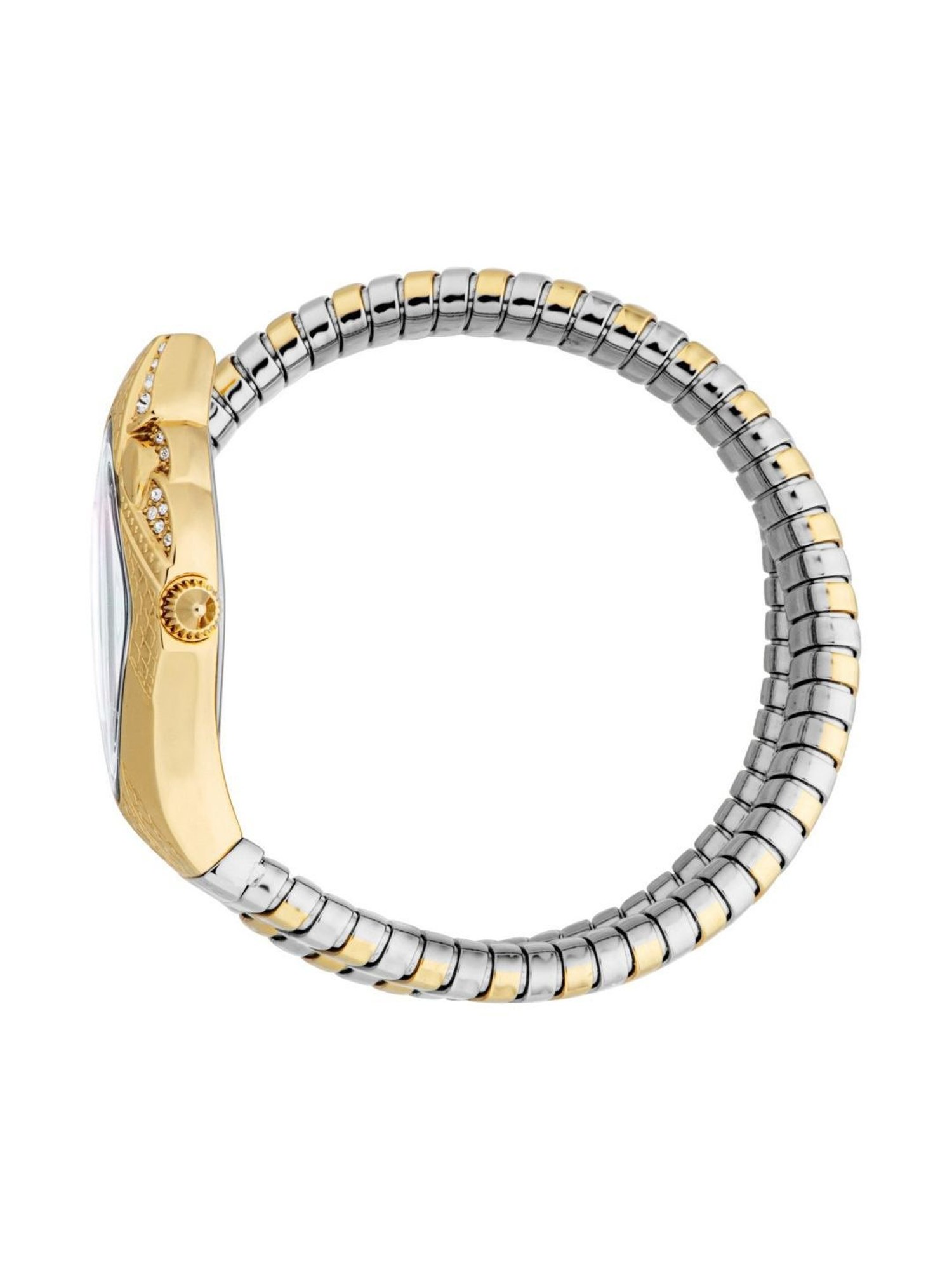 Just Cavalli JC1L306M0065 Ferocious Analog Watch for Women