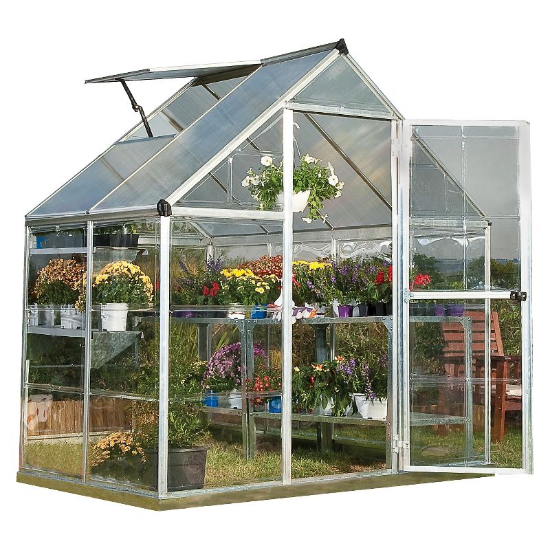 (6' x 4' x 7')  Nature Greenhouse - Silver - Palram