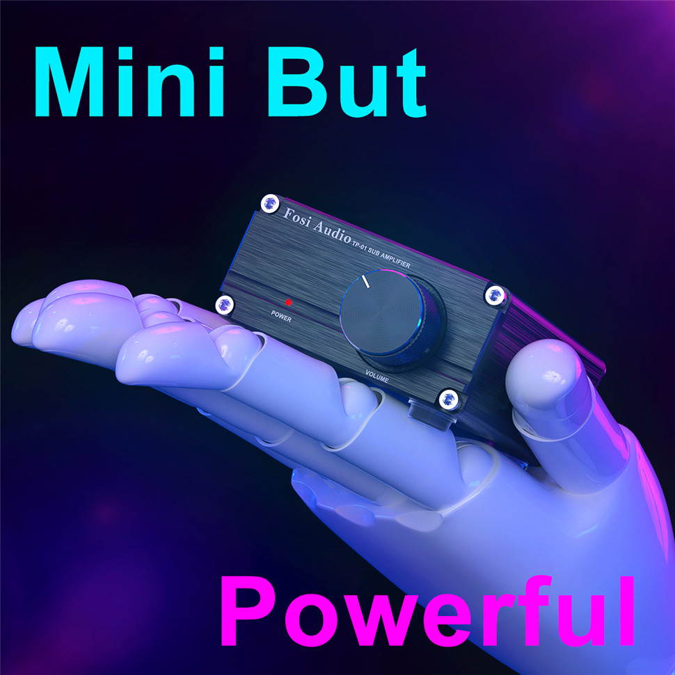 Subwoofer Amplifier Receiver 100Watt Mini Hi-Fi Digital Class D Integrated Stereo Audio Amp for Sub Bass + Power Supply TP-01