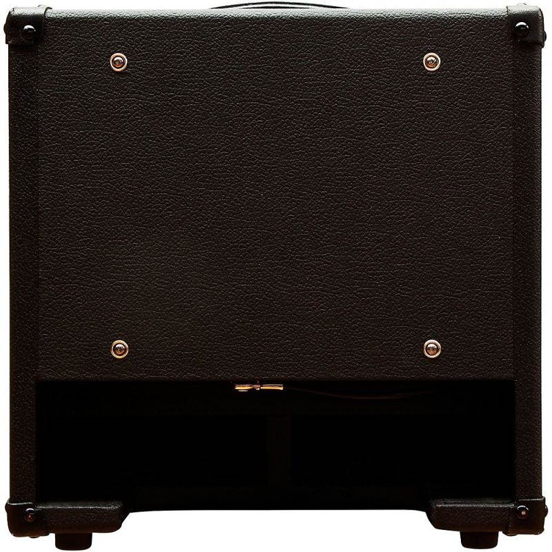 DV Mark AC101 150W 1x10 Compact Acoustic Guitar Combo Amp Brown