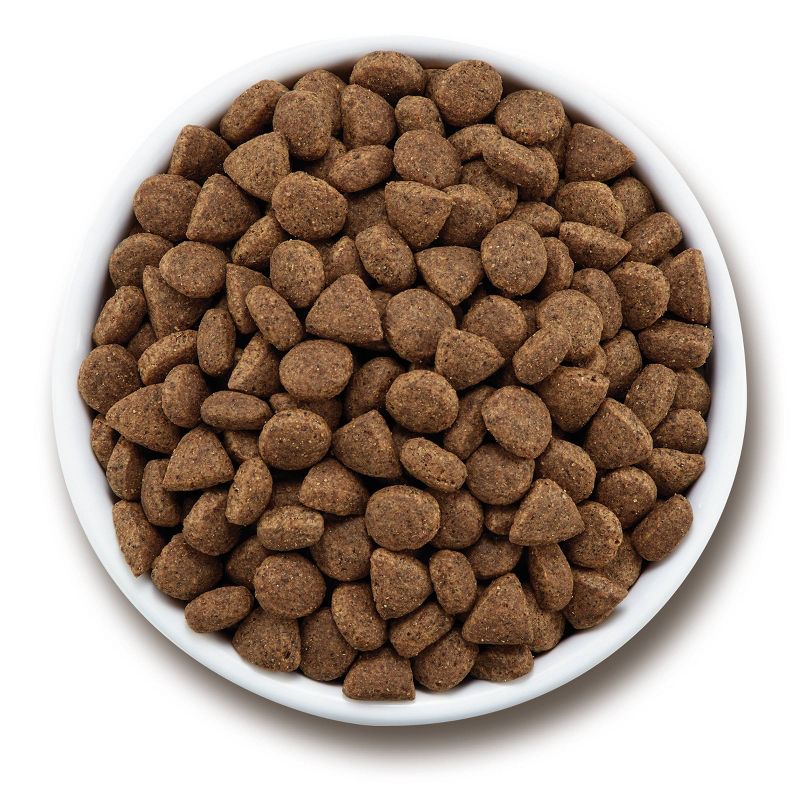 Purina Beyond Grain Free Beef & Egg Recipe Dry Dog Food - 3lbs