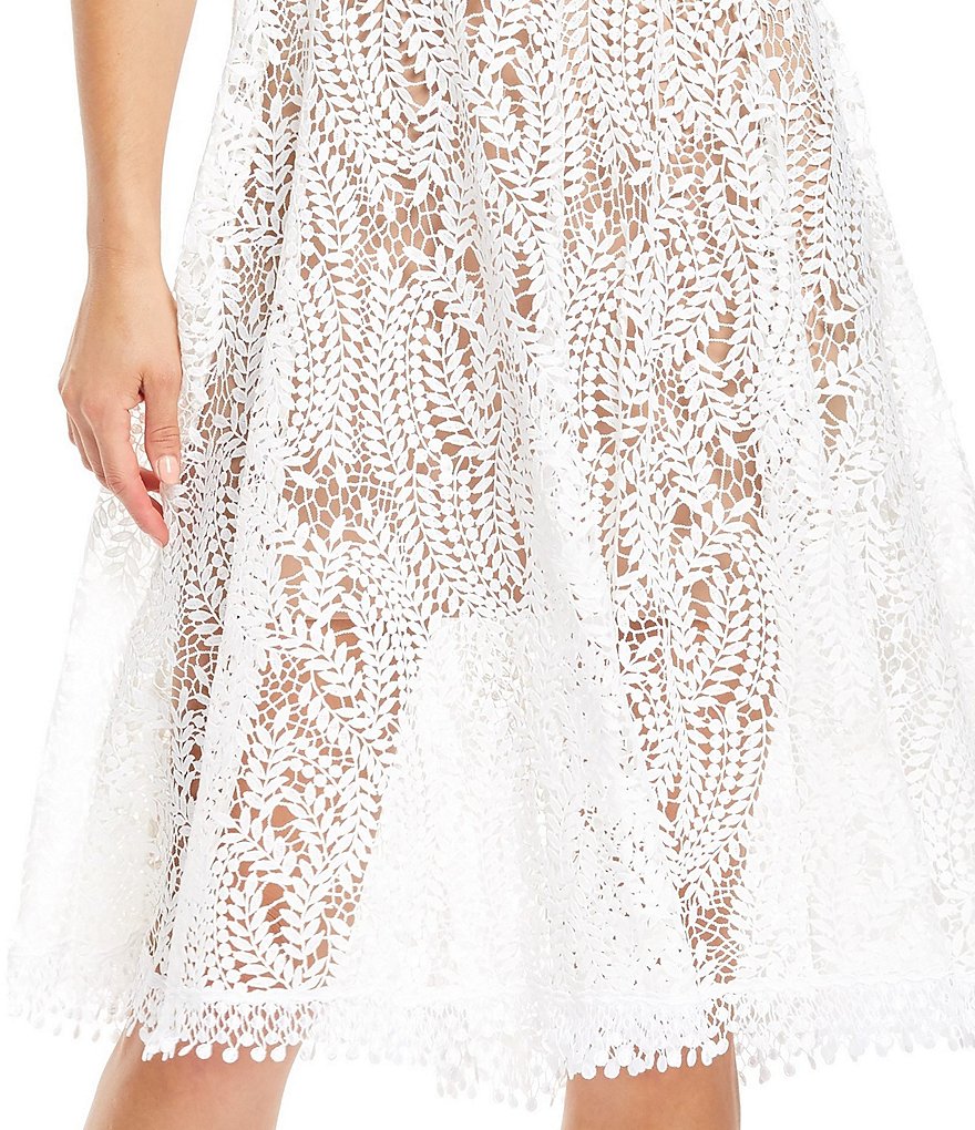 Dress the Population Shane Sleeveless Lace Dress