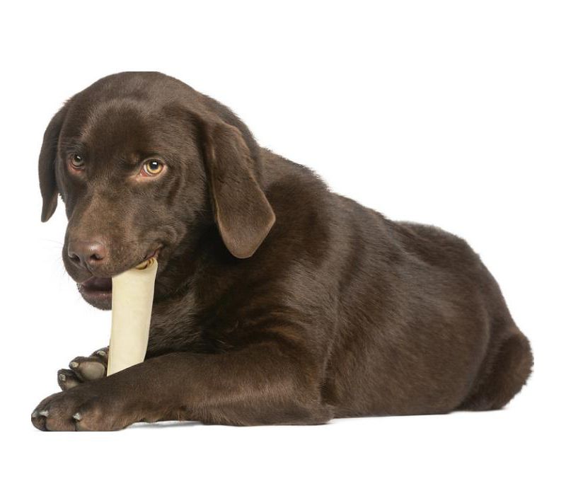 Loving Pets Gourmet Sweet Potato Biscuit & Chicken Wraps (8 oz Pack)